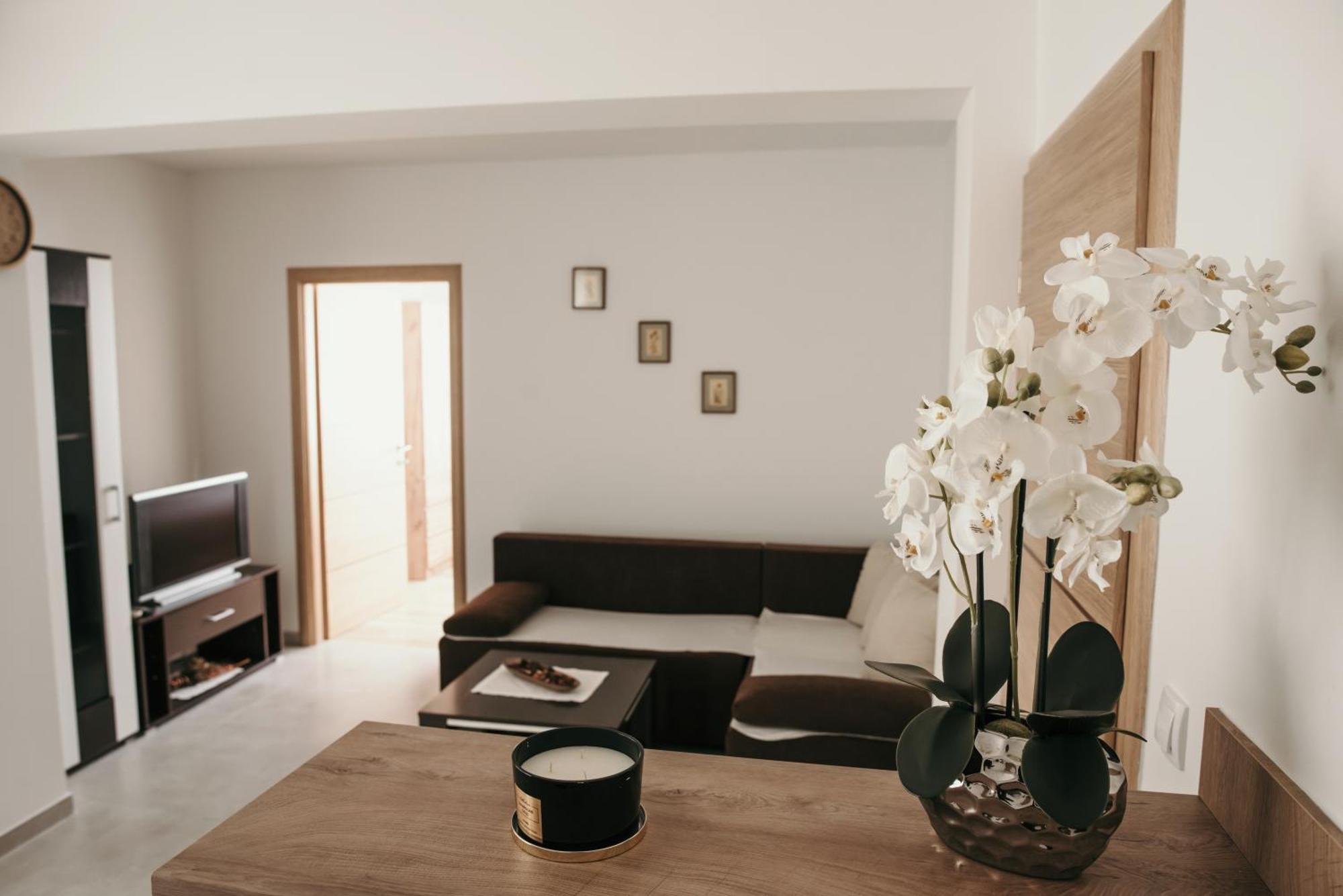 Apartman Krznaric ジュパニャ エクステリア 写真